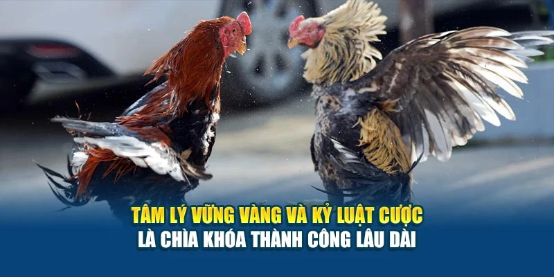 Cách Đặt Cược Đá Gà Hiệu Quả - Trúng Cực Lớn Mỗi Ngày 7 Tâm lý vững vàng và kỷ luật cược là chìa khóa thành công lâu dài
